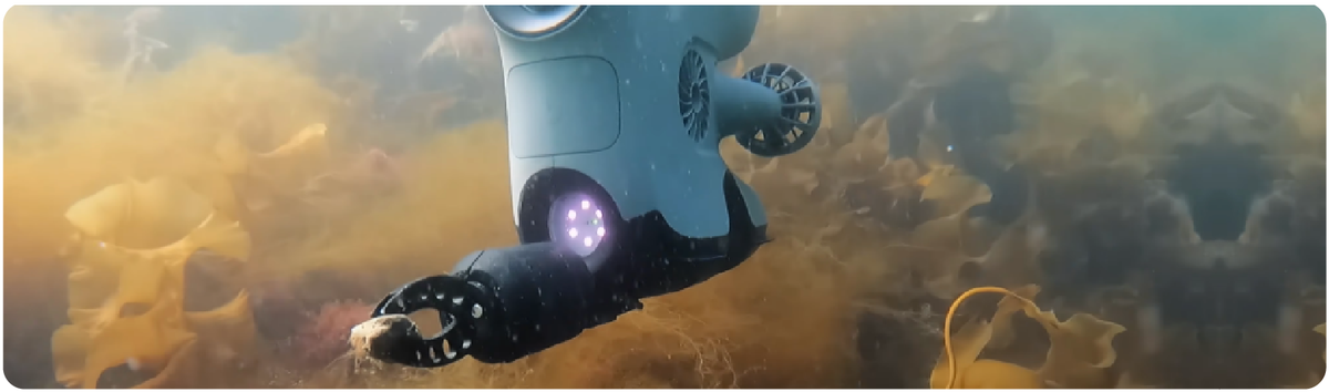 Exploring the Depths with Blueye Underwater Drones – Measur Drones